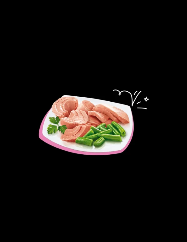 PETREET NAT 140GR TONNO ROSA FAGIOLINI A06 A53145