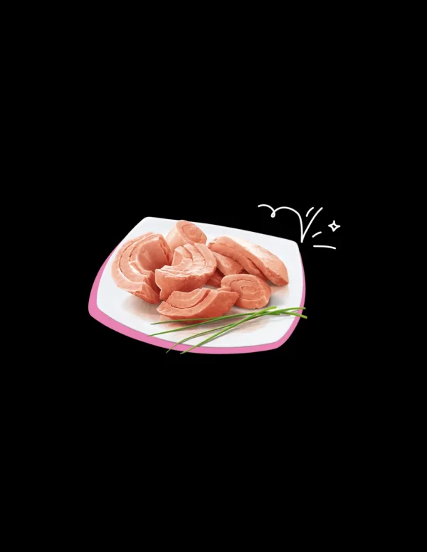 PETREET NAT 140GR TONNO ROSA A01 A53144