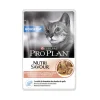 PRO PLAN CAT 85GR BUSTA HOUSECAT TENERI PEZZETTI IN SALSA CON SALMONE 12457632