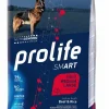 prolife dog smart adult medium/large 2,5kg beef&rice zpd.34747