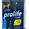 prolife dog smart 2,5kg adult medium/large chicken&rice zpd.34648