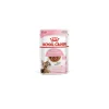 royal cat 85gr busta gravy kitten sterilised fhnwet7087