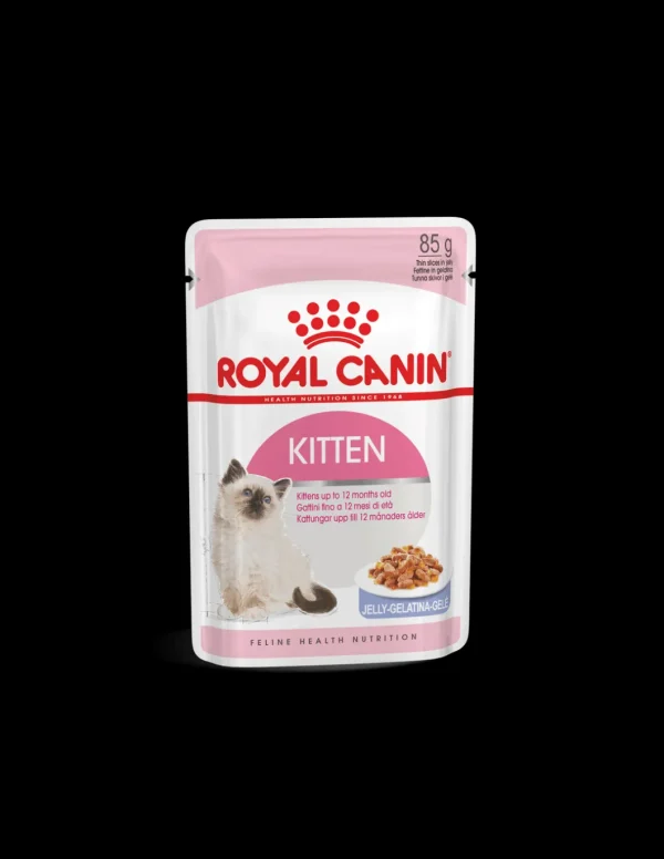 royal cat 85gr busta jelly kitten fhnwet7092