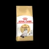 royal cat ragdoll 2kg fbn2109