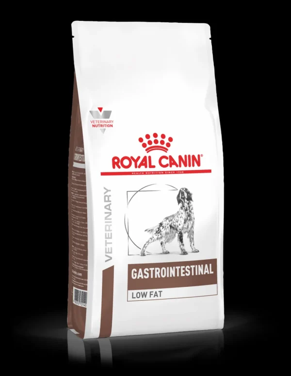 royal dog diet dry gastro intestinal low fat 6kg vhn3122