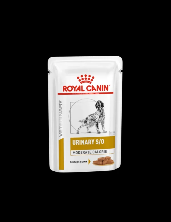 royal dog diet wet urinary moderate calorie 100gr vhnwet6052