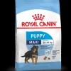 ROYAL DOG MAXI PUPPY 15KG