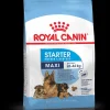 royal dog maxi starter mother&babydog 4kg shn1206