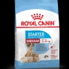 royal dog medium starter mother&babydog 4kg shn1372