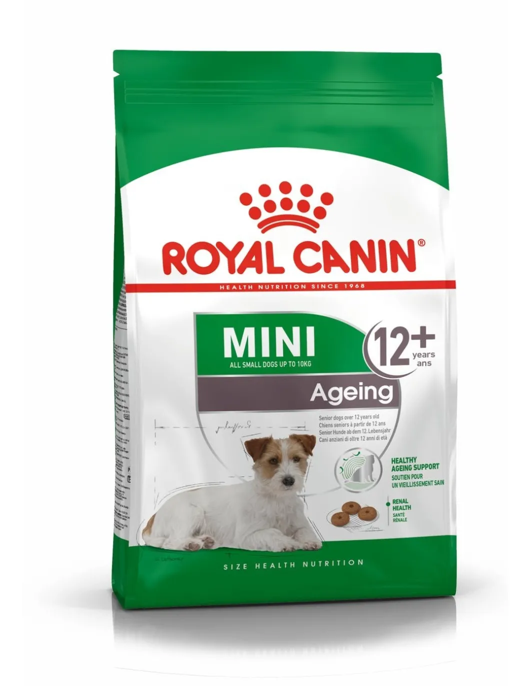 royal_dog_mini_ageing__an_0.webp royal dog mini ageing +12 anni 1,5kg shn1023