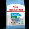royal dog mini starter mother&babydog 1kg shn1366