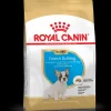 royal dog r.bouledogue francese puppy 3kg bhn1524