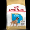 royal dog r.boxer puppy 3kg bhn1566