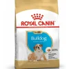 royal dog r.bulldog inglese puppy 3kg bhn1569