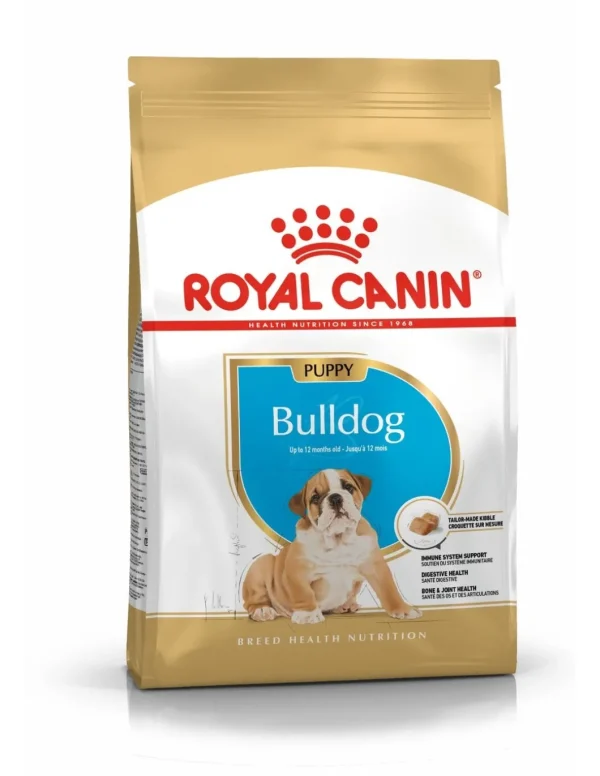 royal dog r.bulldog inglese puppy 3kg bhn1569