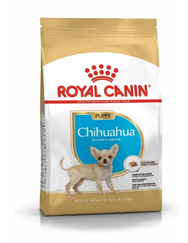 royal dog r.chihuahua puppy 500gr bhn1594