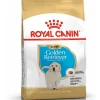 royal dog r.golden retriever puppy 12kg bhn1575