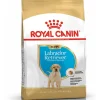 royal dog r.labrador puppy 3kg bhn1556