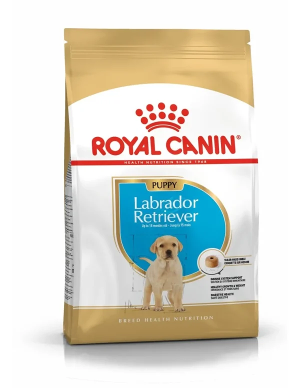 royal dog r.labrador puppy 3kg bhn1556