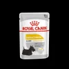 royal dog wet adult dermacomfort loaf/pate' 85gr ccnwet6060