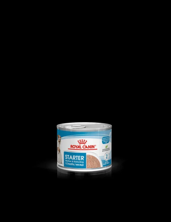 royal dog wet starter mousse mother&babydog 195gr chnwet6085