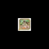 stuzzy cat vaschetta 100gr pate tacchino 01031506