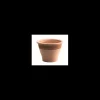 tarvisium vaso campana bassa liscia graffiata 35cm 9473513