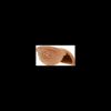 tarvisium vaso gerla rustica festone 40cm 594400