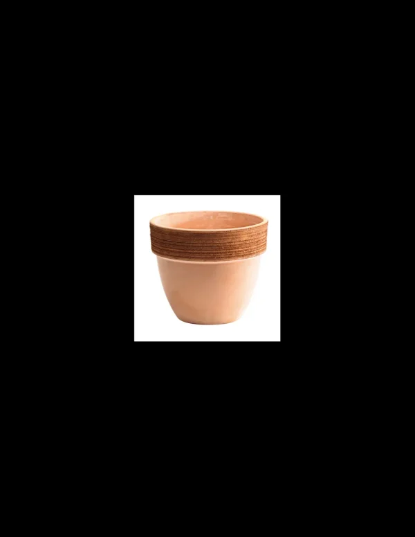 tarvisium vaso patavium anticato graffiato 14cm