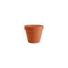 tarvisium vaso standard 17cm