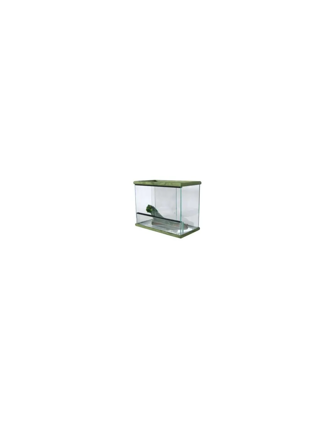 terrario_in_vetro__bordi__0.webp terrario in vetro bordi in legno 60x30x38cm r.10075260