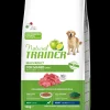 trainer natural dog 12kg adult maxi manzo, riso e ginseng