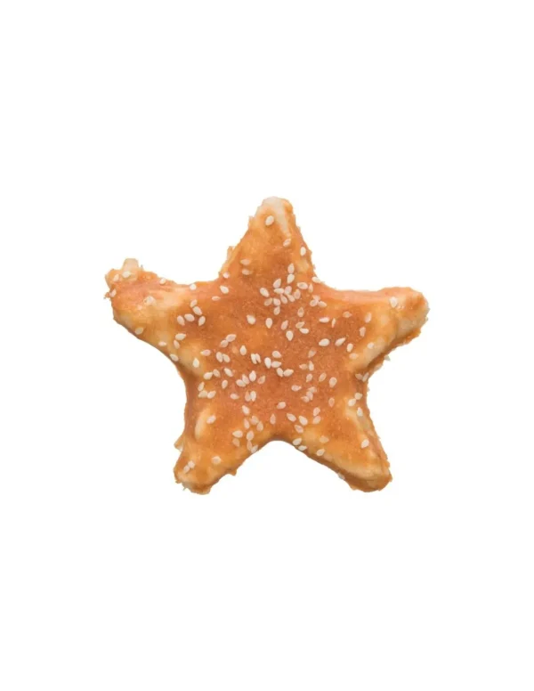 TX31191 DENTAFUN CHICKEN STAR 9CM 30GR