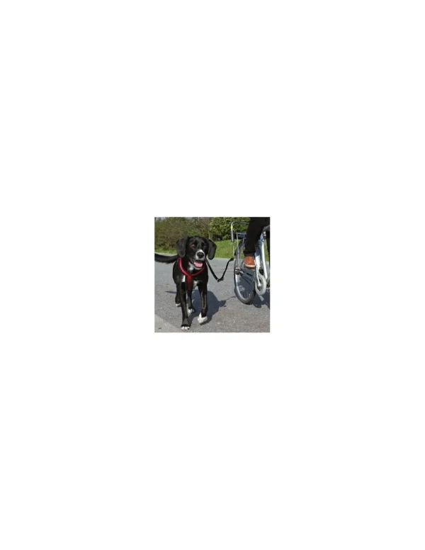 tx1287 dog biker set de luxe gancio x cani