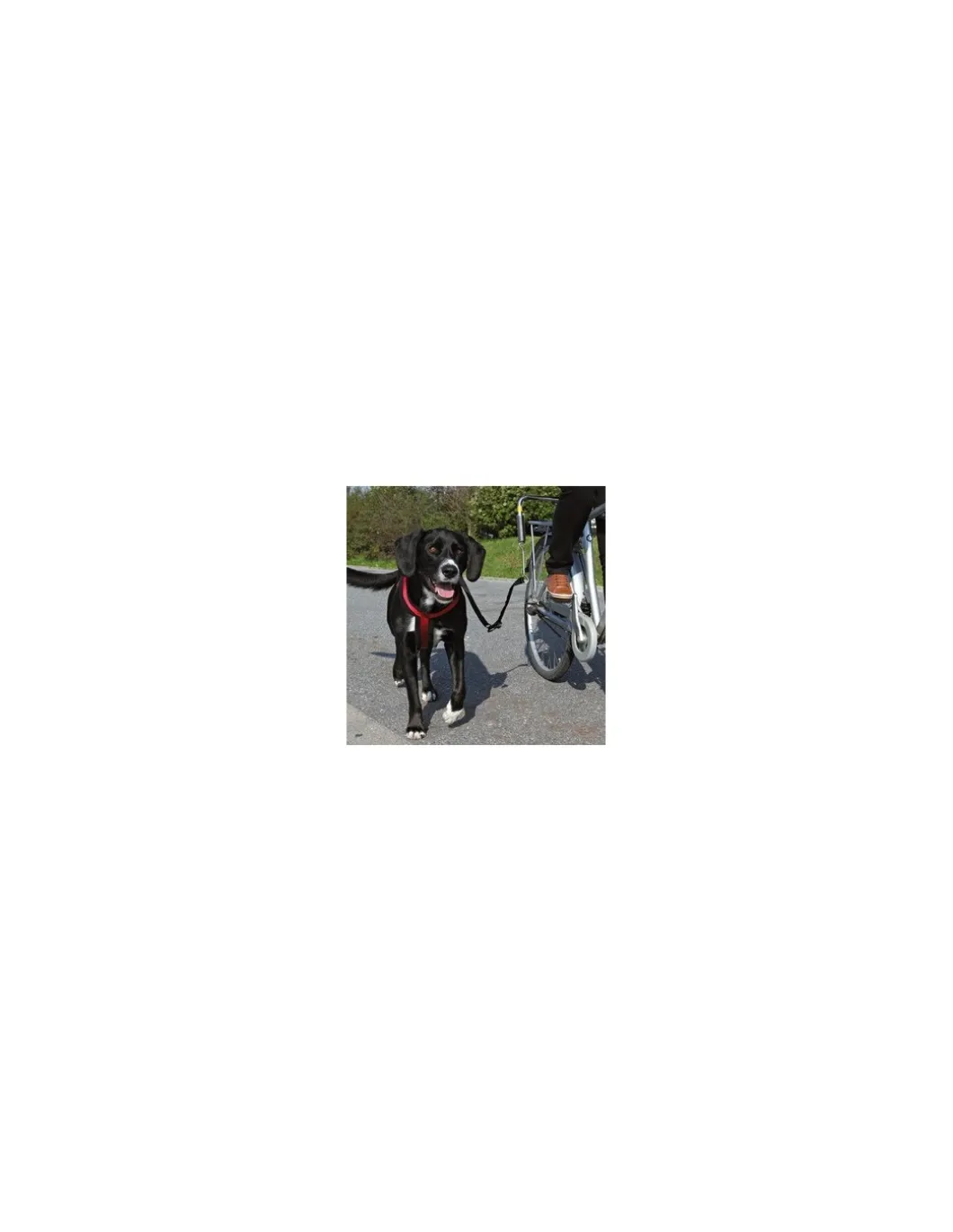 tx_dog_biker_set_de_luxe__0.webp tx1287 dog biker set de luxe gancio x cani