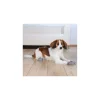 tx19504 dog calze per cani antiscivolo l-xl 2 pezzi