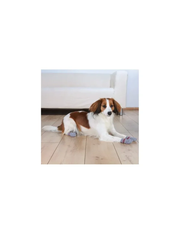 tx19504 dog calze per cani antiscivolo l-xl 2 pezzi