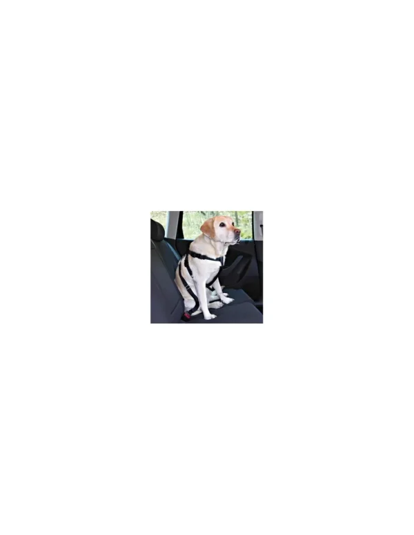 tx1288 dog cintura di sicurezza per auto tg xs