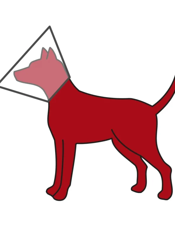 tx19515 dog collare elisabetta con velcro l 22cm