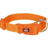 tx201618 dog collare premium mis.m-l 35-55cm/20mm arancio