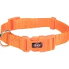 tx202218 dog collare premium mis.s 25-40cm/15mm arancio