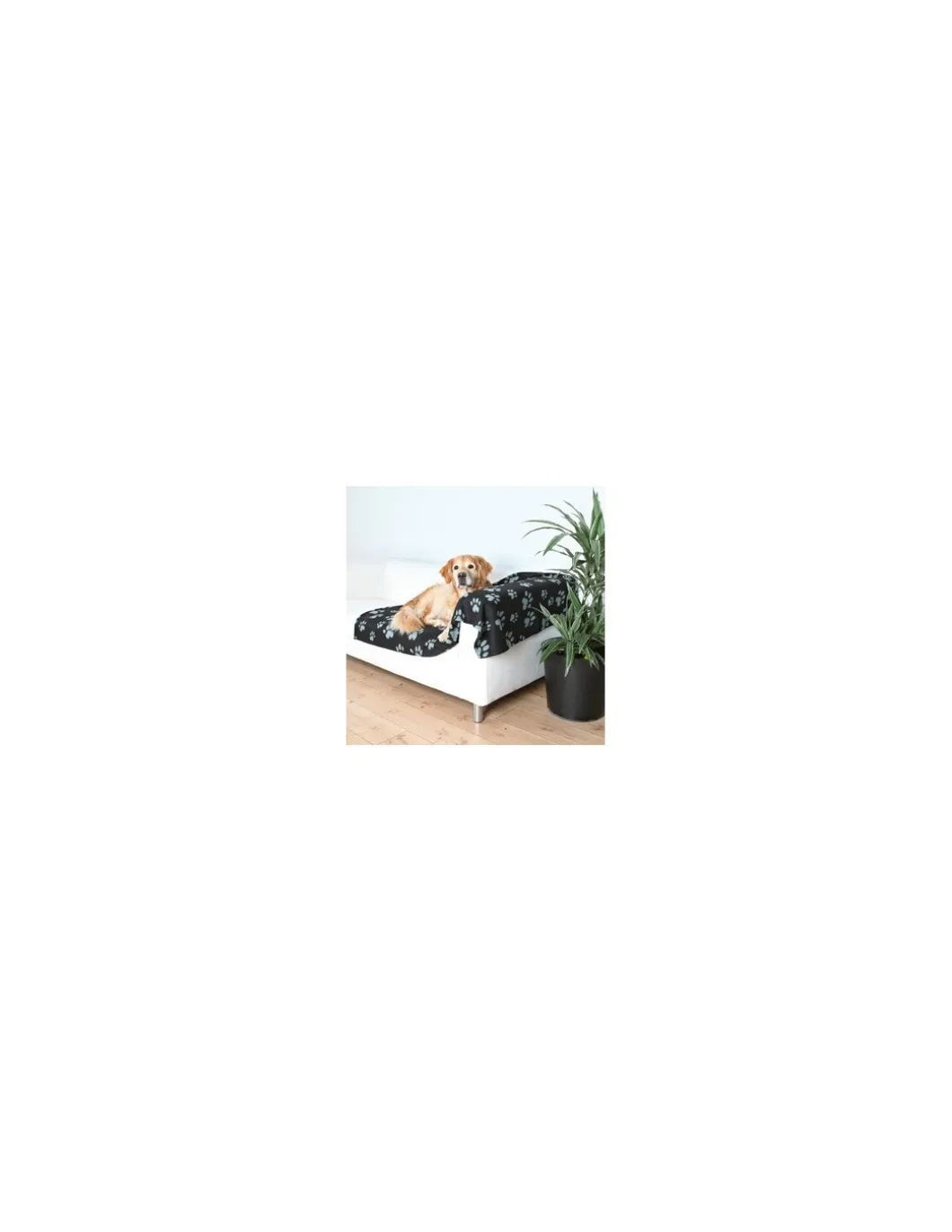 tx_dog_coperta_barney_ner_0.webp tx37183 dog coperta barney nero/grigio 150x100cm