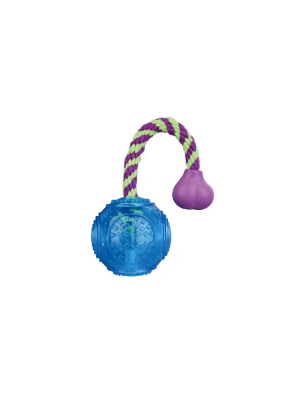 tx33658 dog gioco palla in gomma termoplastica 7cm/25cm