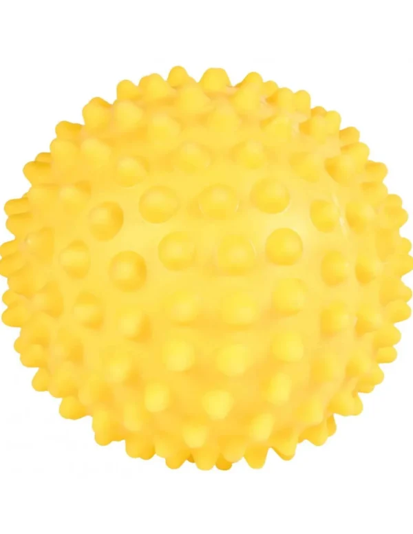 tx3419 dog gioco palla riccio s/squittio d16cm