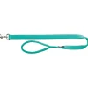 tx200012 dog guinzaglio premium mis.xs 1,2m/10mm acquamarina