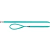 tx200212 dog guinzaglio premium mis.m-l 1m/20mm acquamarina