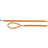 tx200218 dog guinzaglio premium mis.m-l 1m/20mm arancio