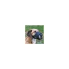 tx19263 dog museruola in nylon-rete tg 3 m