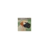 tx1920 dog museruola in nylon tg xs