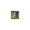 tx13006 dog museruola top trainer tg 6-xl